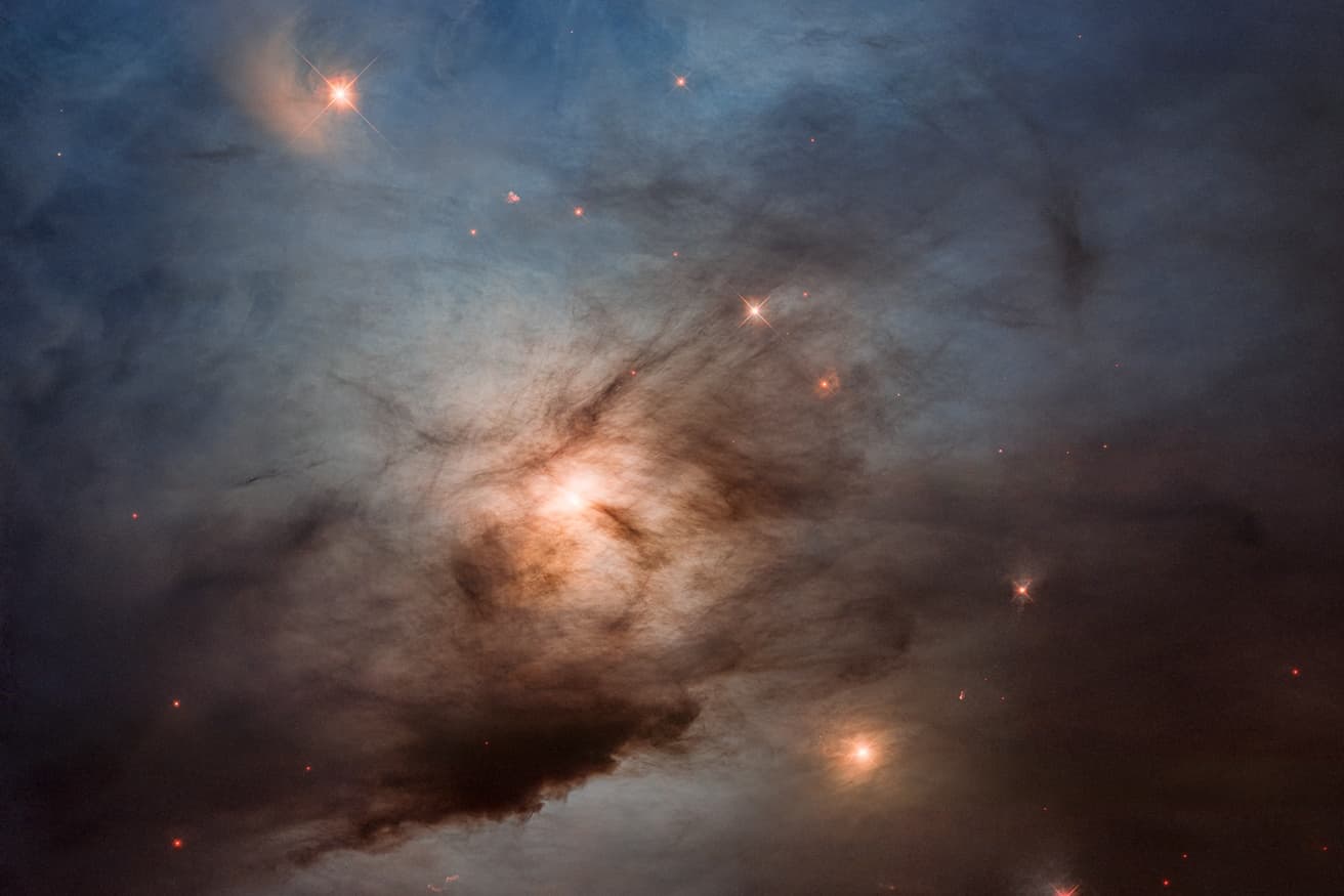 Golden stars shine through dark dust in a cropped Hubble view of the NGC 1333 star-forming region