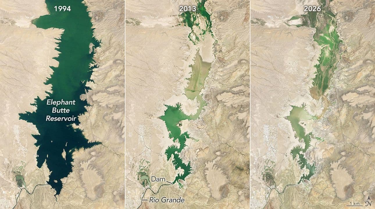 Three Landsat views compare the full Elephant Butte Reservoir in 1994 with its much smaller footprint in 2013 and 2026