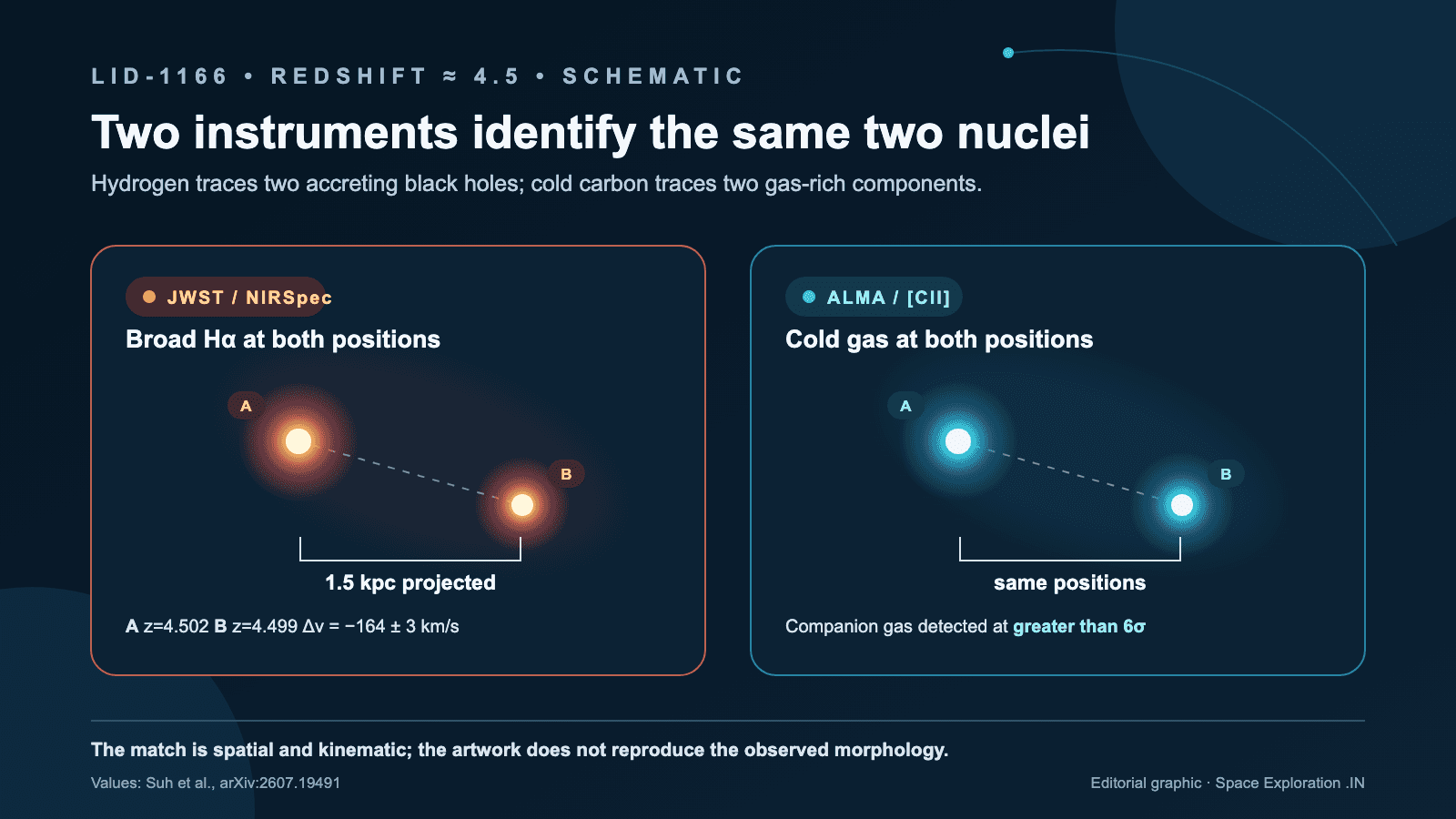Editorial diagram showing JWST hydrogen emission and ALMA carbon emission identifying two active nuclei in LID-1166