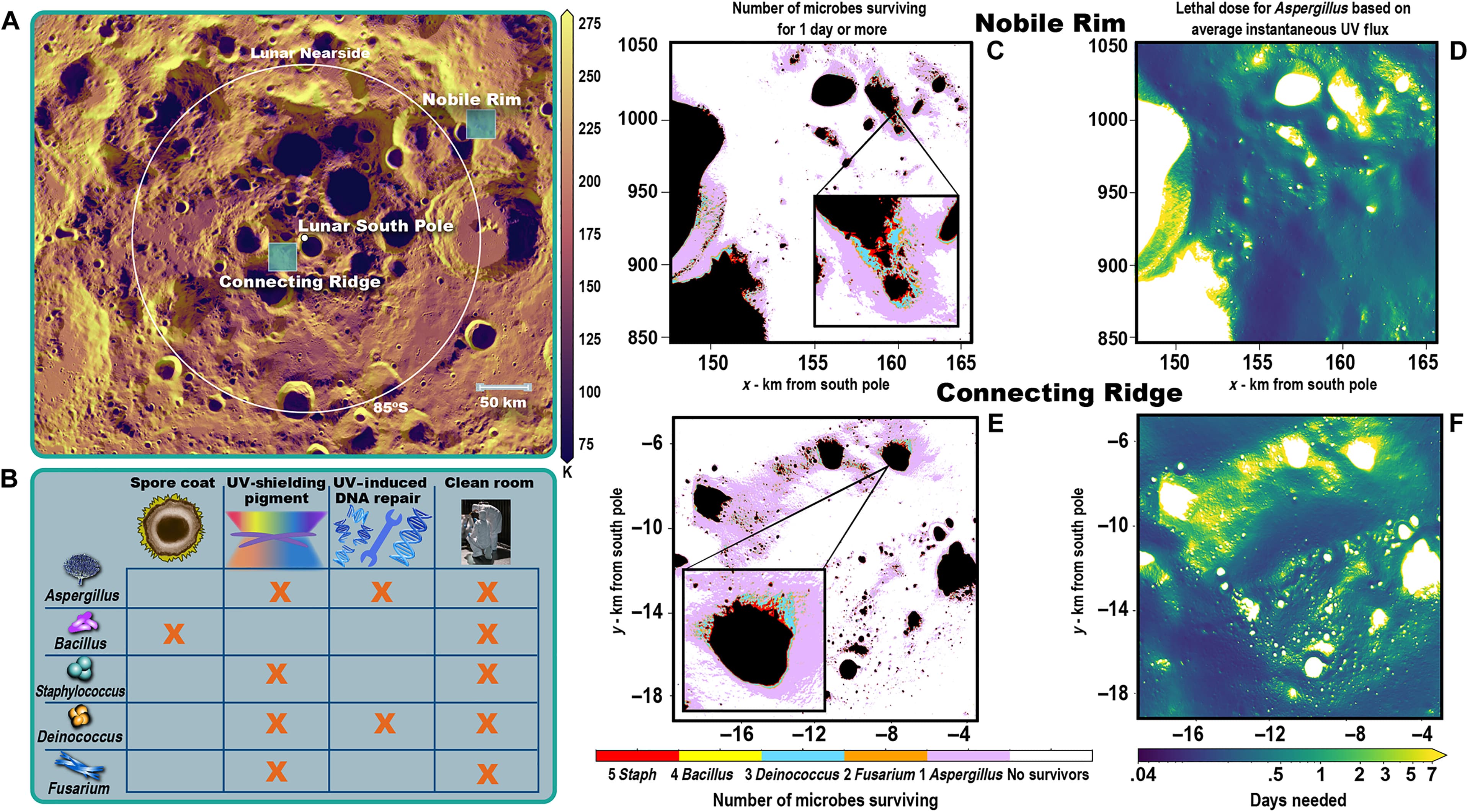 Multi-panel lunar south-pole maps showing modelled microbial survival at Nobile Rim and Connecting Ridge