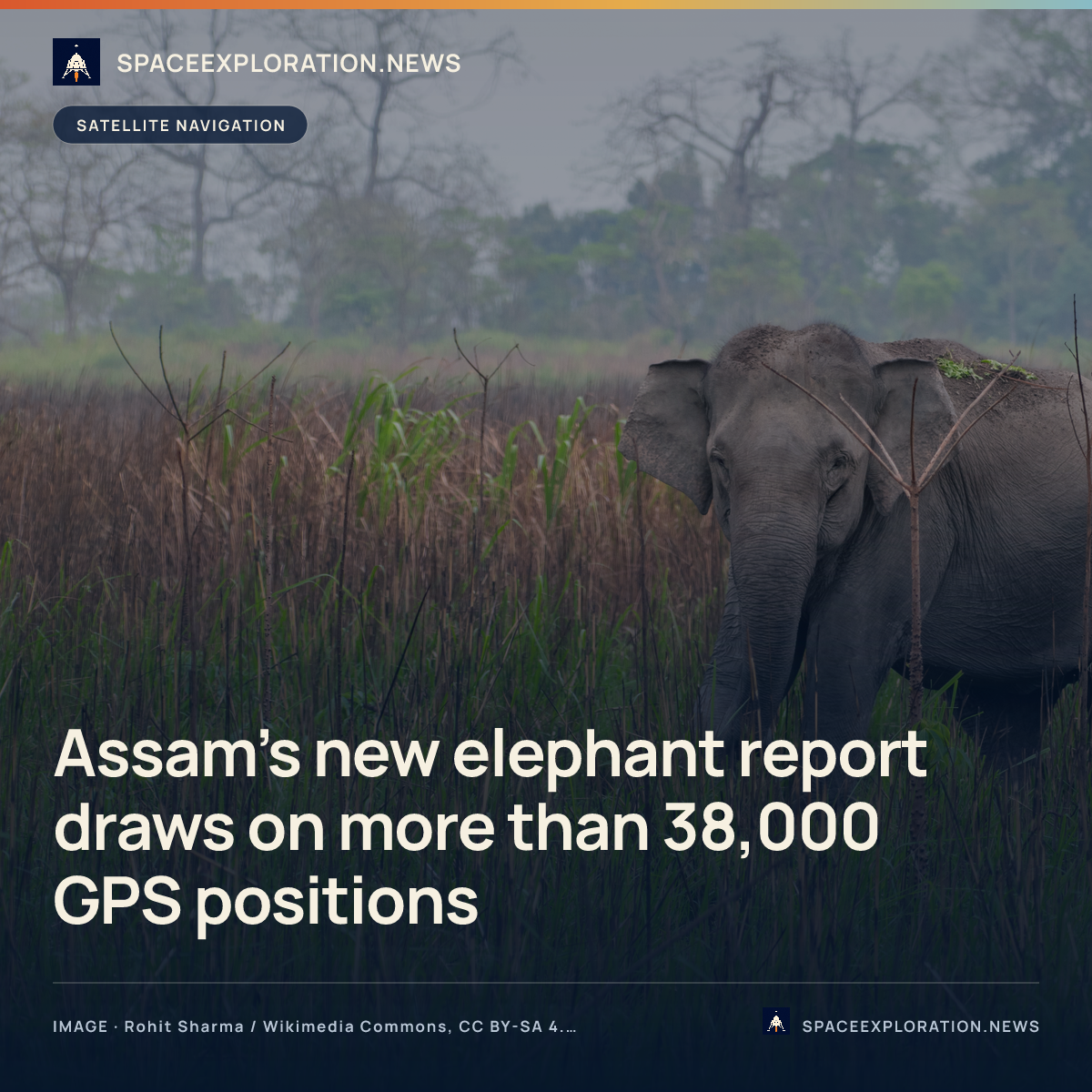 Branded story card: Assam’s new elephant report draws on more than 38,000 GPS positions